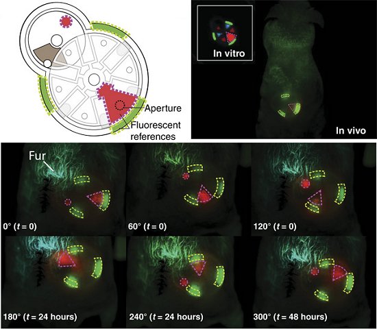 iMEMS: Vm a os robs moles implantveis