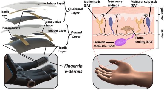 E-derme d sensao de toque e dor a mo binica