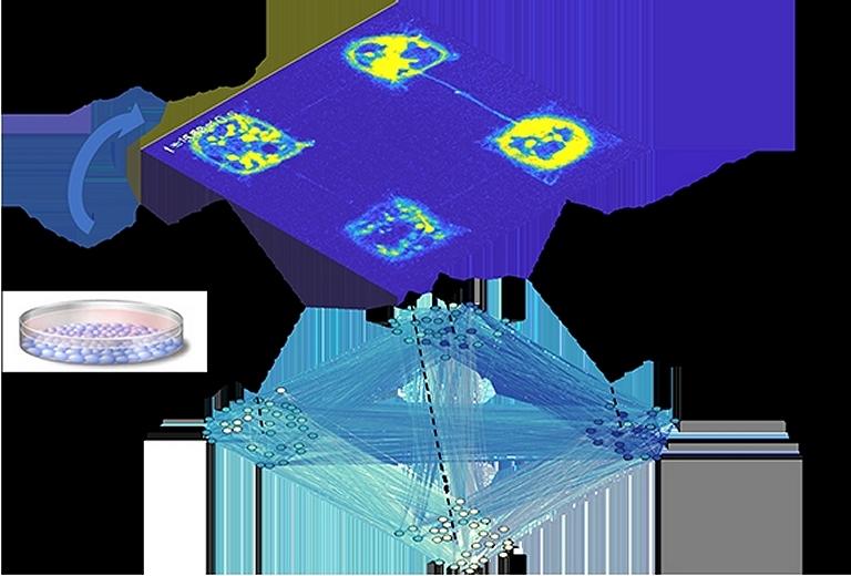 Neuroengenharia imita funes complexas do crebro