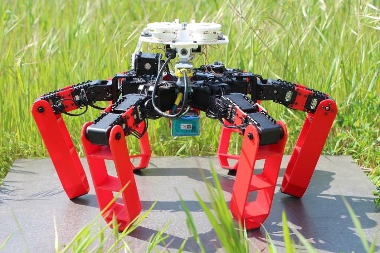 Formiga robótica é o primeiro robô a navegar sem GPS