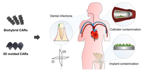 Enxame de microrrobôs limpa placa dental