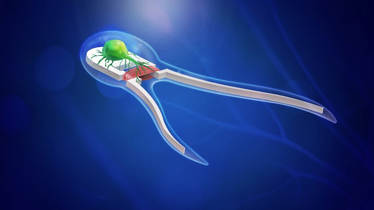 Biorrobô meio máquina e meio vivo abre caminho para máquinas vivas