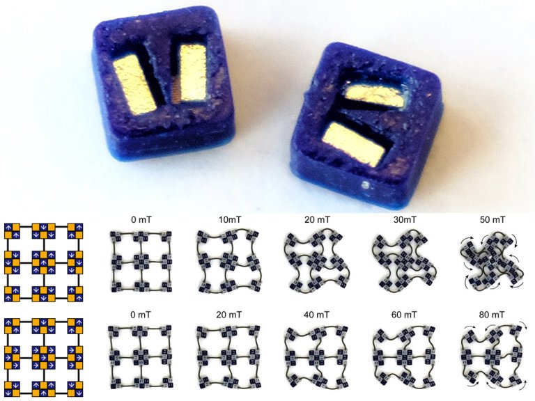 Tijolos magnticos quadrupolares montam-se em objetos complexos