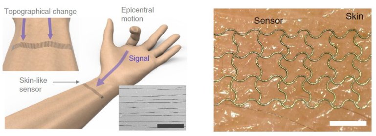 Sensor com inteligncia artificial entende movimentos humanos