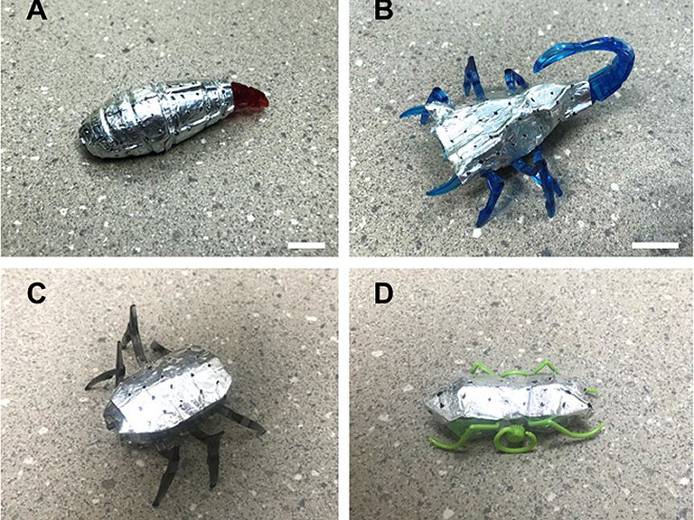 Baterias biomrficas guardam energia na pele dos robs