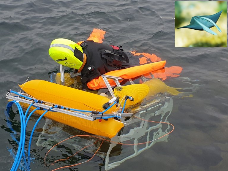 Robô salva-vidas autônomo identifica afogamento e salva pessoas sozinho