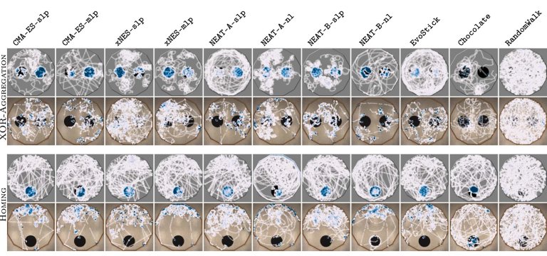 Robtica neuroevolucionria: Como romper o hiato entre simulao e realidade