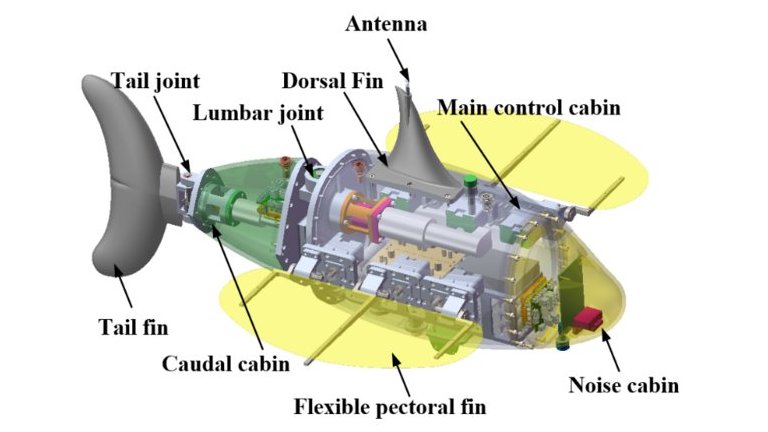 Bionic underwater vehicle inspired by fish with enlarged pectoral fins