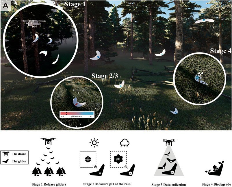 Biodrones: Robs feitos de batata vo monitorar a natureza