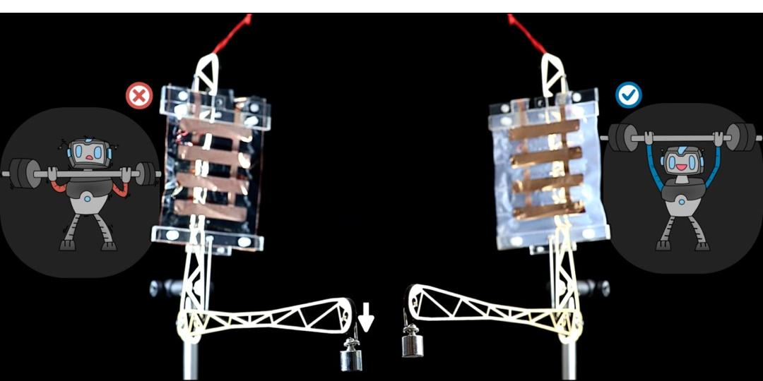 Músculos artificiais estáveis e eficientes construídos com combinações de materiais