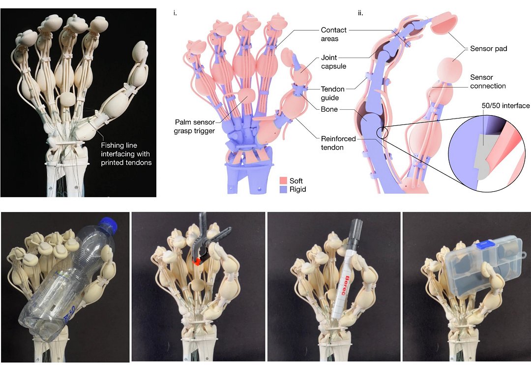 Mão robótica impressa em 3D possui ossos, ligamentos e tendões