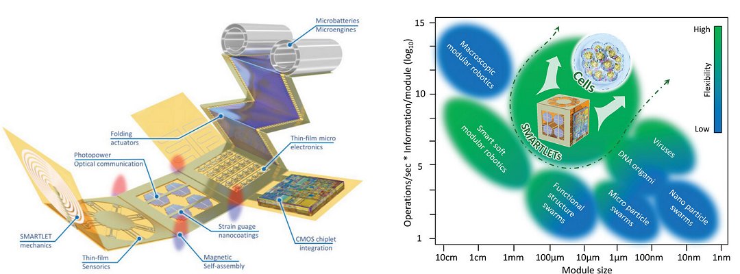 É possível criar uma tecnologia biológica, totalmente sustentável?