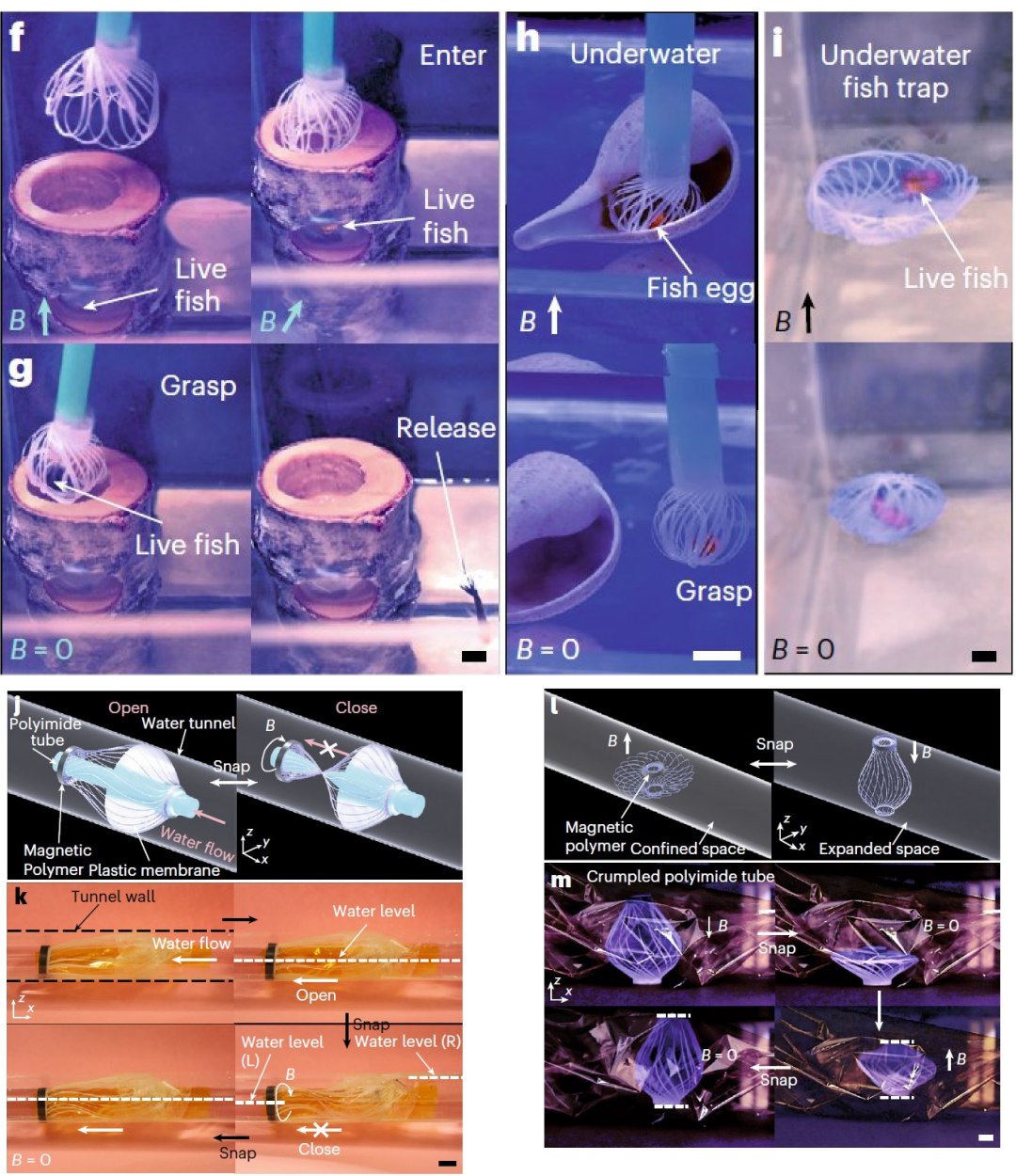 Polímero metamórfico assume 12 formatos