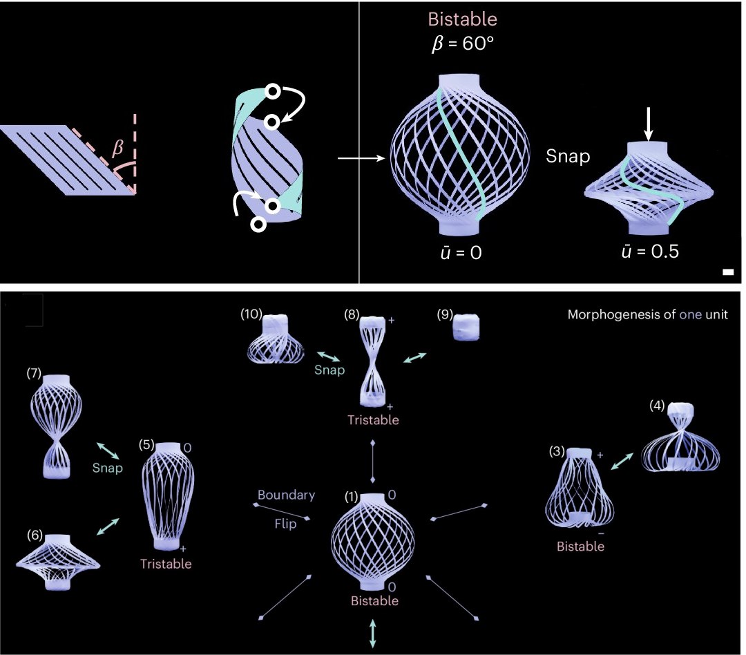 Polímero metamórfico assume 12 formatos