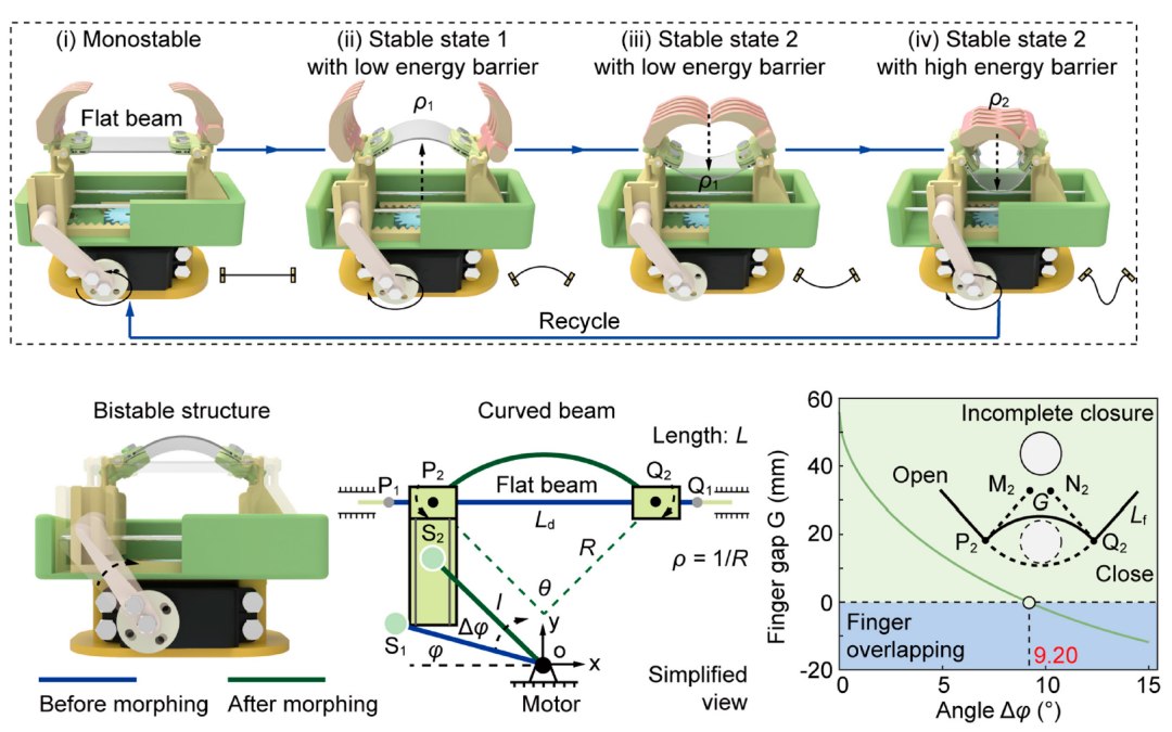 Garra rob�tica inspirada em planta cria rob� inspirado em p�ssaro