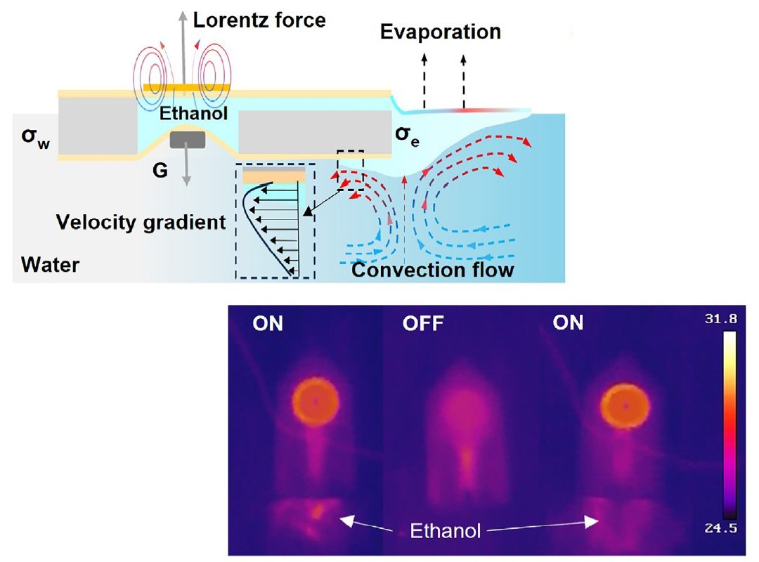 Rob�s aqu�ticos inspirados em folhas s�o op��o para monitoramento ambiental