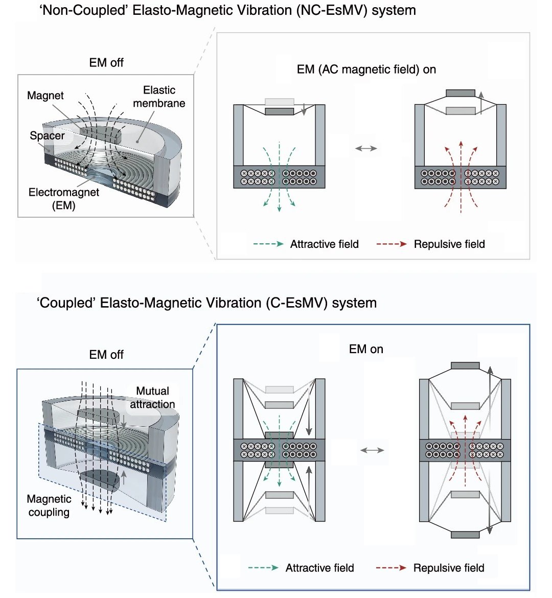 Músculo artificial elastomagnético amplifica movimento e memoriza toque