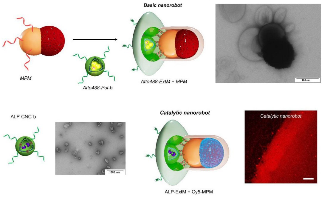 Nanorrob� imita foguete lunar, com m�dulos de propuls�o e carga reutiliz�veis
