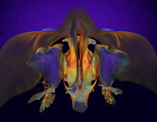 Veja o que está por trás do seu nariz