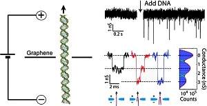 Sequenciamento eletrnico do DNA vira realidade graas ao grafeno