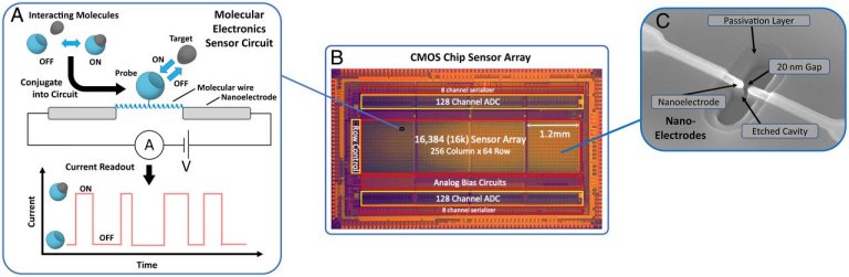 Está pronto o primeiro chip de eletrônica molecular