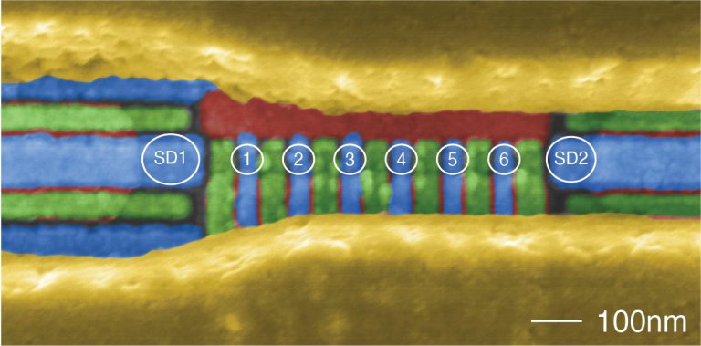 Processador quntico de silcio tem seis qubits totalmente controlveis