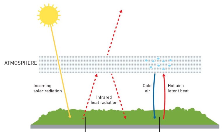 Nobel de Fsica vai para fenmenos complexos e modelagem climtica