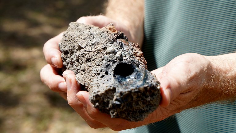 Raio em árvore cria material fertilizante nunca antes encontrado na Terra