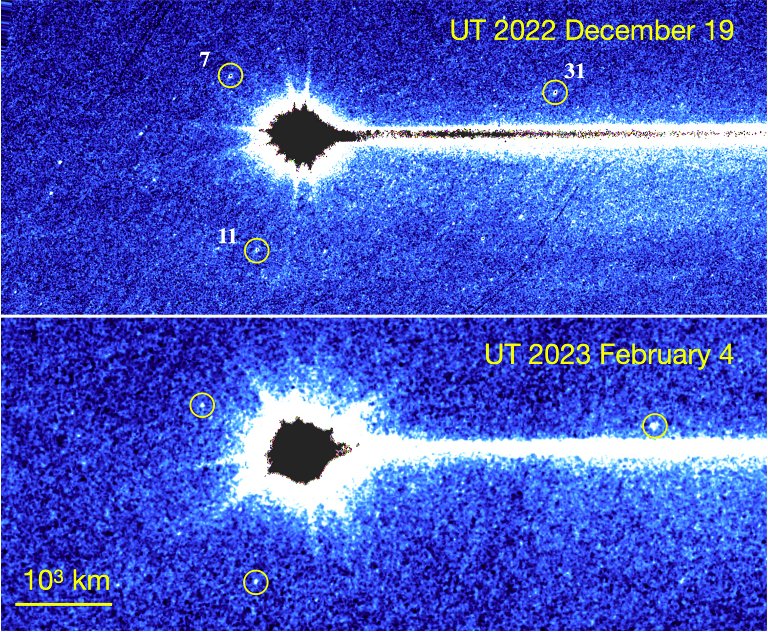 Asteroide atingido por impacto parece estar se despedaando