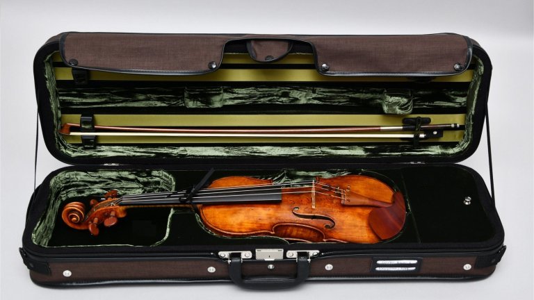 Violino biotecnolgico usa madeira modificada por fungos