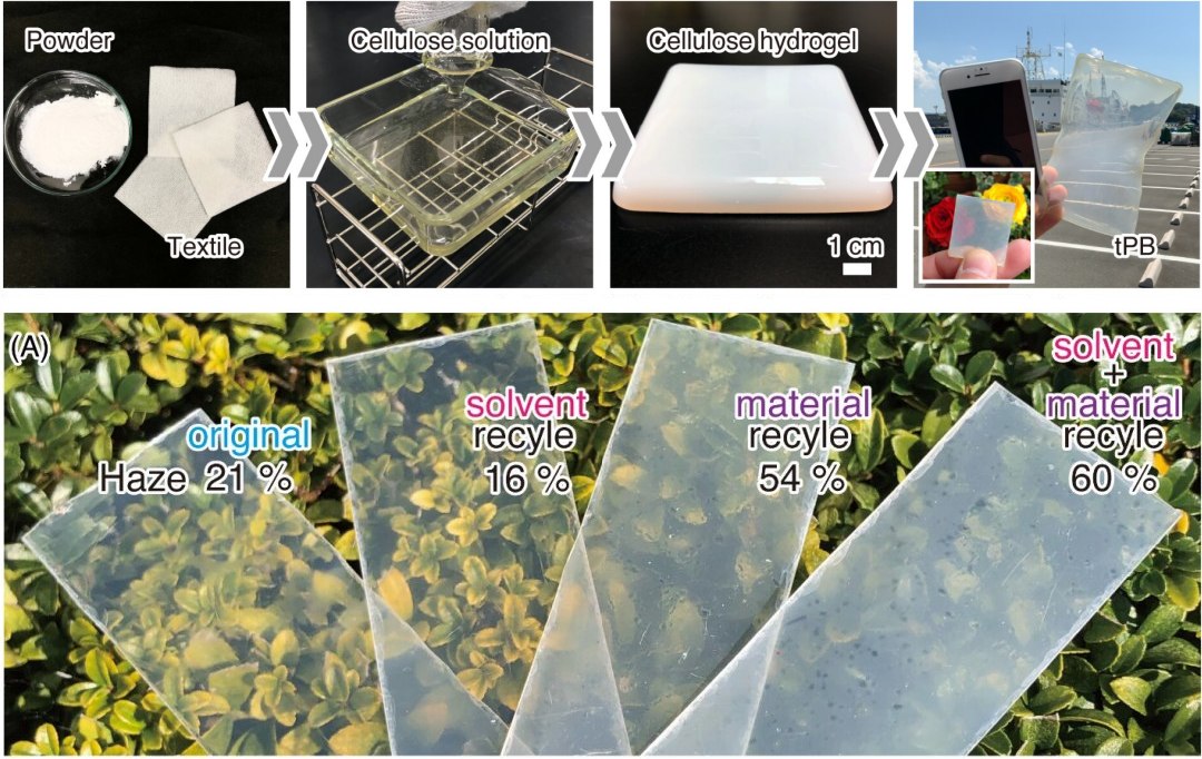 Material transparente de celulose retm gua fervente e degrada em meses