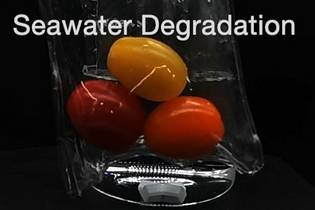 Plástico perfeito? Feito de plantas, biodegradável em água salgada e sem microplásticos