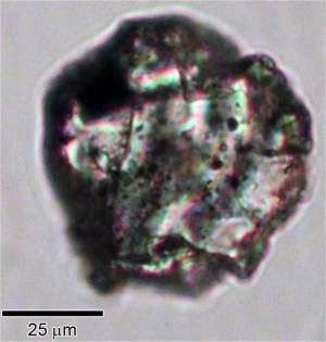 Poeira de asteroide revela origem dos meteoritos