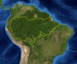 Estudo brasileiro sobre Amaznia atrai ateno internacional