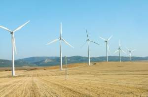 Brasil rene esforos para impulsionar energia elica no pas