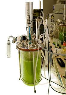 Biologia sinttica promete sistemas artificiais inspirados na natureza