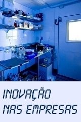 Inovação nas Empresas