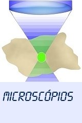 Microscópios