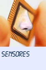 Sensores