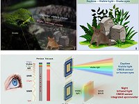 Visão noturna inspirada nas cobras enxerga infravermelho em 4K