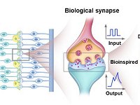 Sinapse artificial de luz impulsiona computa��o neurom�rfica