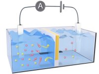 Bateria de sal coleta energia osmtica onde rios encontram o mar