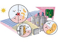 Conhea o eletrobiodiesel, um biocombustvel mais eficiente e mais limpo