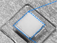 Um nico material aquece e resfria o ambiente sem gastar energia