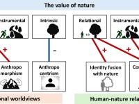 Como sua vis�o de mundo e seus valores afetam a Terra