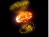 Cada estrela explode do seu próprio jeito