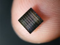 Neurnios artificiais replicam funes biolgicas trocando eltrons por ons