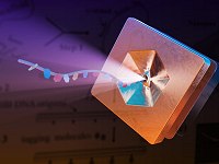 Armazenar dados em DNA � mais f�cil do que se pensava