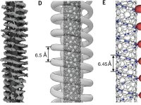 DNA reconstrói nanotubos para criar supercondutores a temperatura ambiente