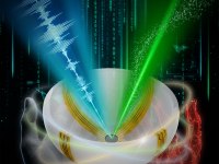 Exames de ultrassom agora em cores e muito mais detalhes